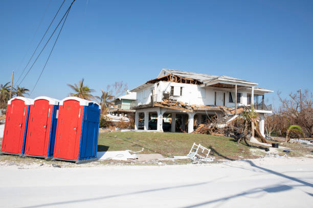 Best Storm Damage Tree Cleanup  in Palm Valley, TX